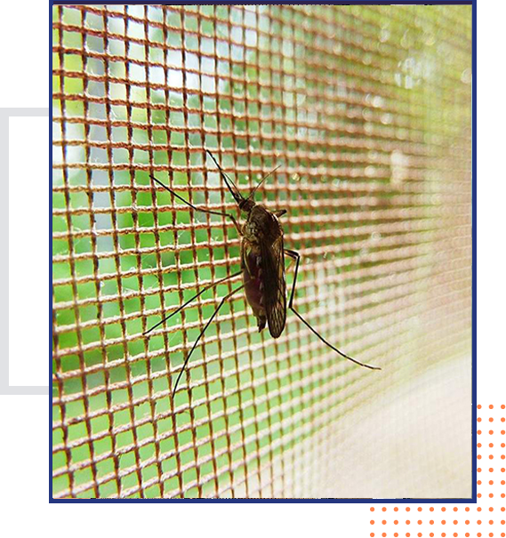 video popup bg image